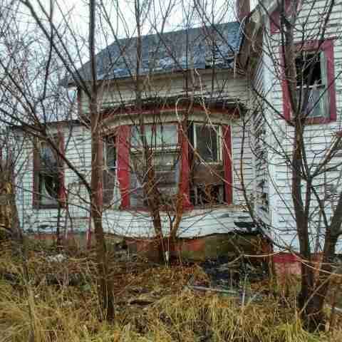 8031 conger (56).jpg